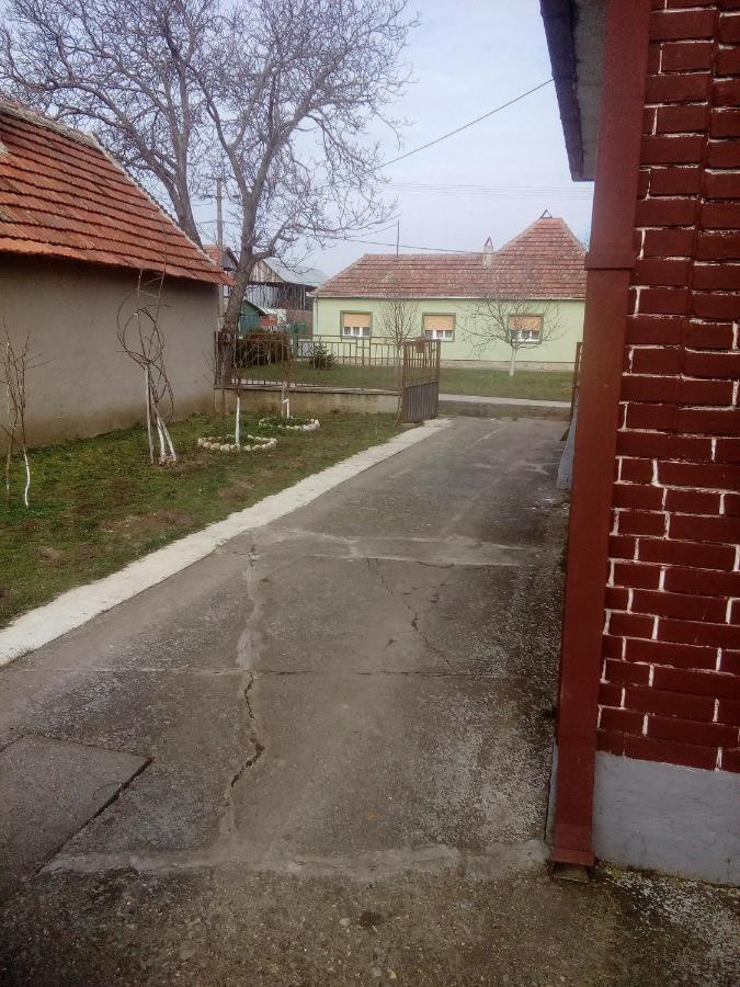Kuca Villa Pancevo Ngoại thất bức ảnh